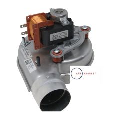 25225/BAL