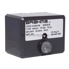 37200728/BRA
