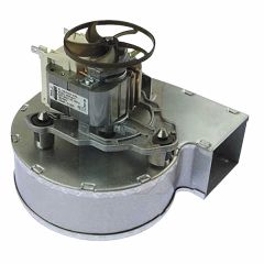 39819820/FE