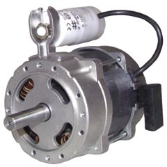 447004