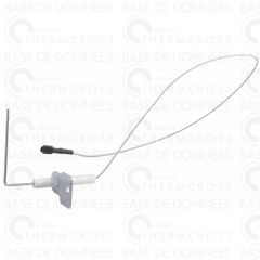 20446