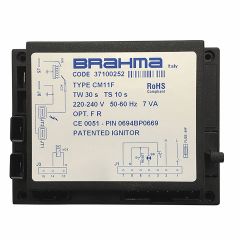37100252/BRA