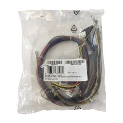 BI2385112/BI