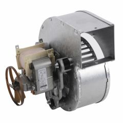 JJD005632530/DD