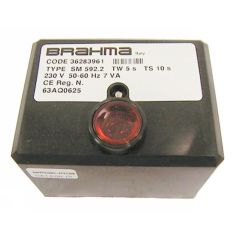 36283961/BRA