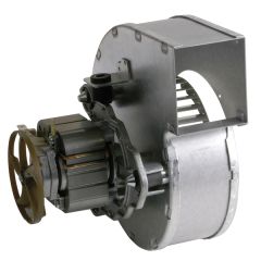 39800440/FE